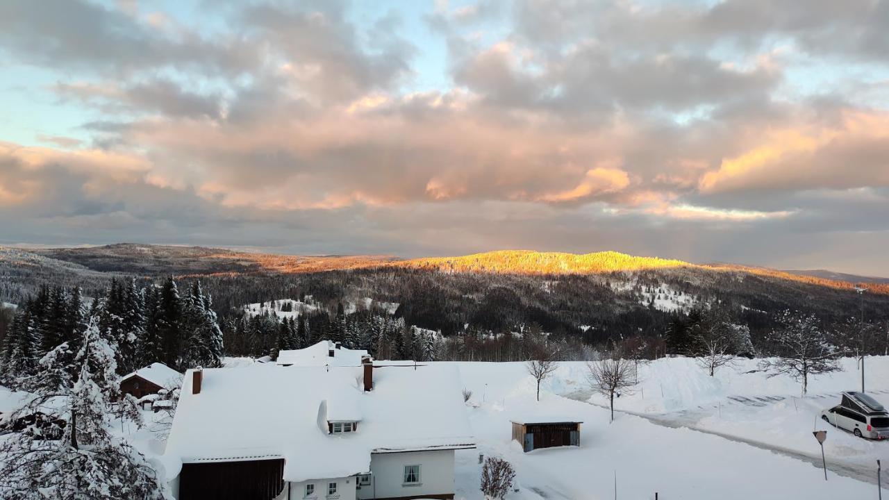 Two Apartaments Almberg - Mitterdorf-Mitterfirmiansreut Esterno foto