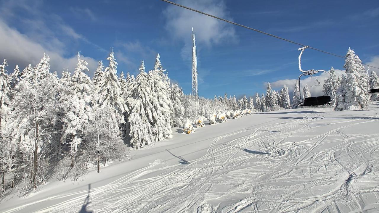 Two Apartaments Almberg - Mitterdorf-Mitterfirmiansreut Esterno foto