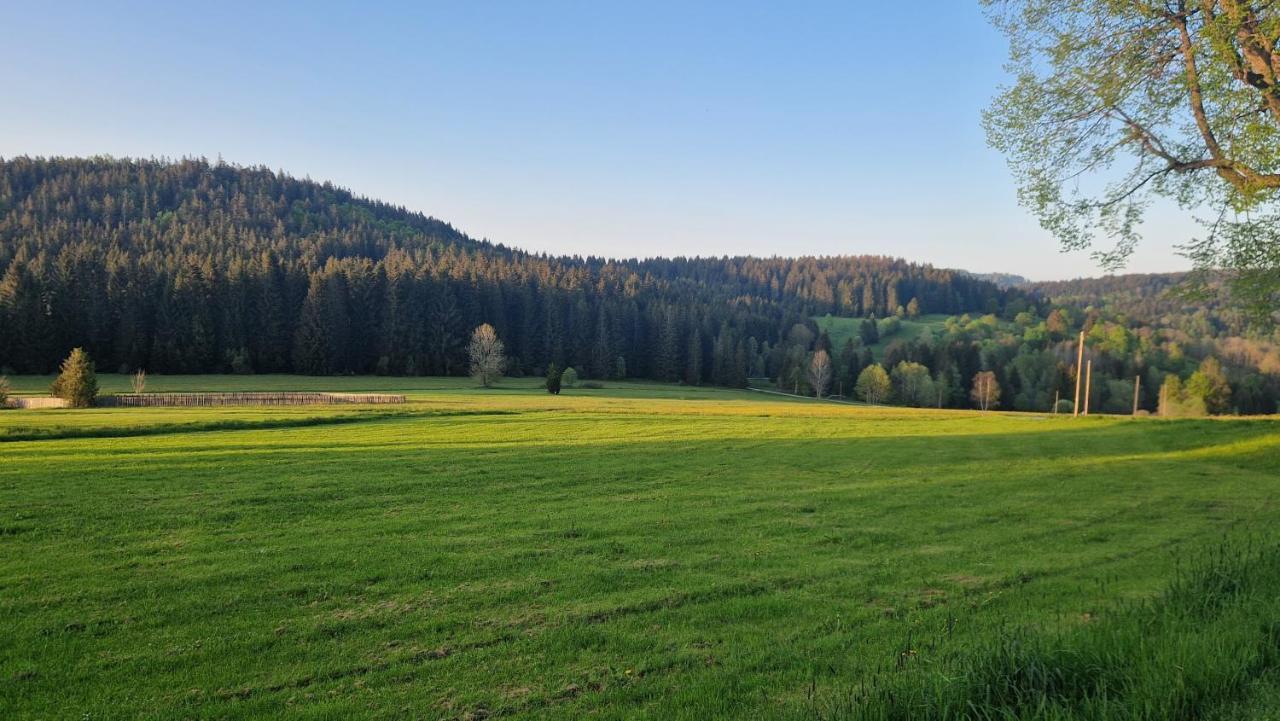 Two Apartaments Almberg - Mitterdorf-Mitterfirmiansreut Esterno foto
