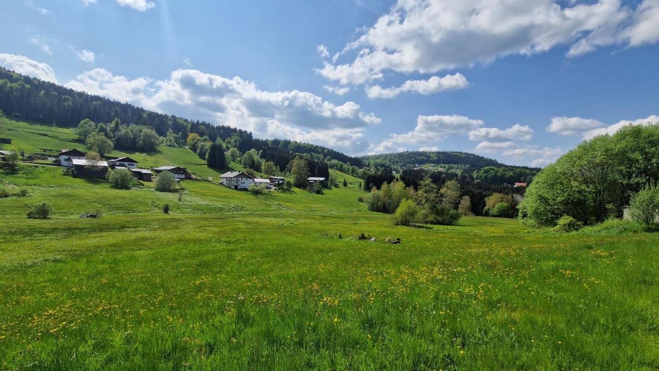 Two Apartaments Almberg - Mitterdorf-Mitterfirmiansreut Esterno foto