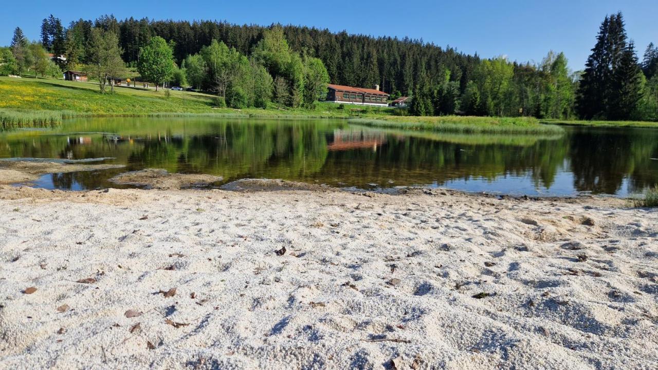 Two Apartaments Almberg - Mitterdorf-Mitterfirmiansreut Esterno foto