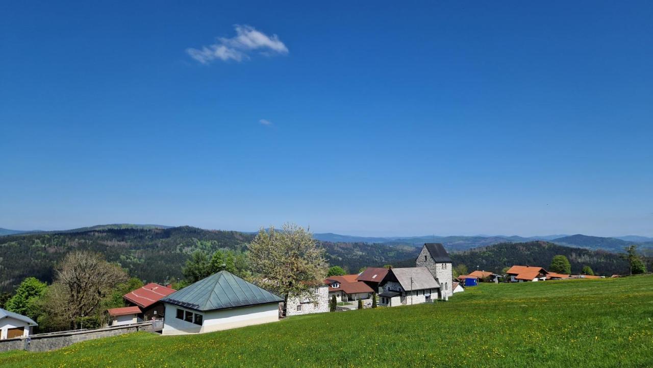 Two Apartaments Almberg - Mitterdorf-Mitterfirmiansreut Esterno foto